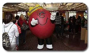 Inflatable Cranberry Costume for Rider University
