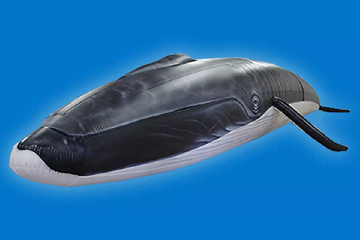Blue Ocean Society Inflatable Whale