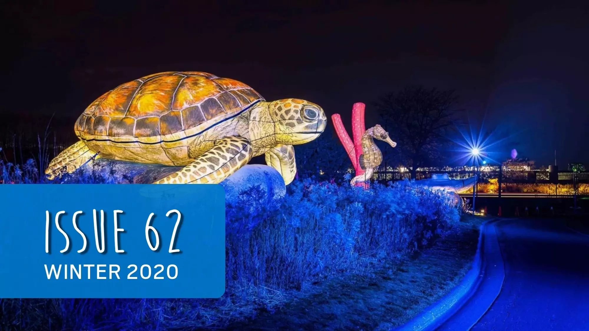 Inflatable Sea Turtle and SeaHorse Illuminated on Side of Minnesota Zoo's Drive-Thru Event at Night