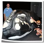 Aquarium Inflatable Whale