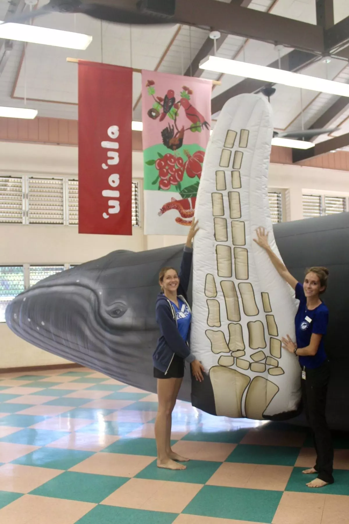 Giant inflatable whale exhibit in exhibit of school