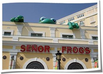 Senior Frog's Inflatable Rooftop Advertising Mascot
