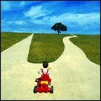 A Fork in the Road