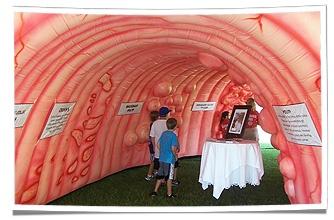 Lebanon Digestive Disease Associates' Inflatable Colon at Community Event