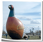 Cabela's Inflatable Pheasant