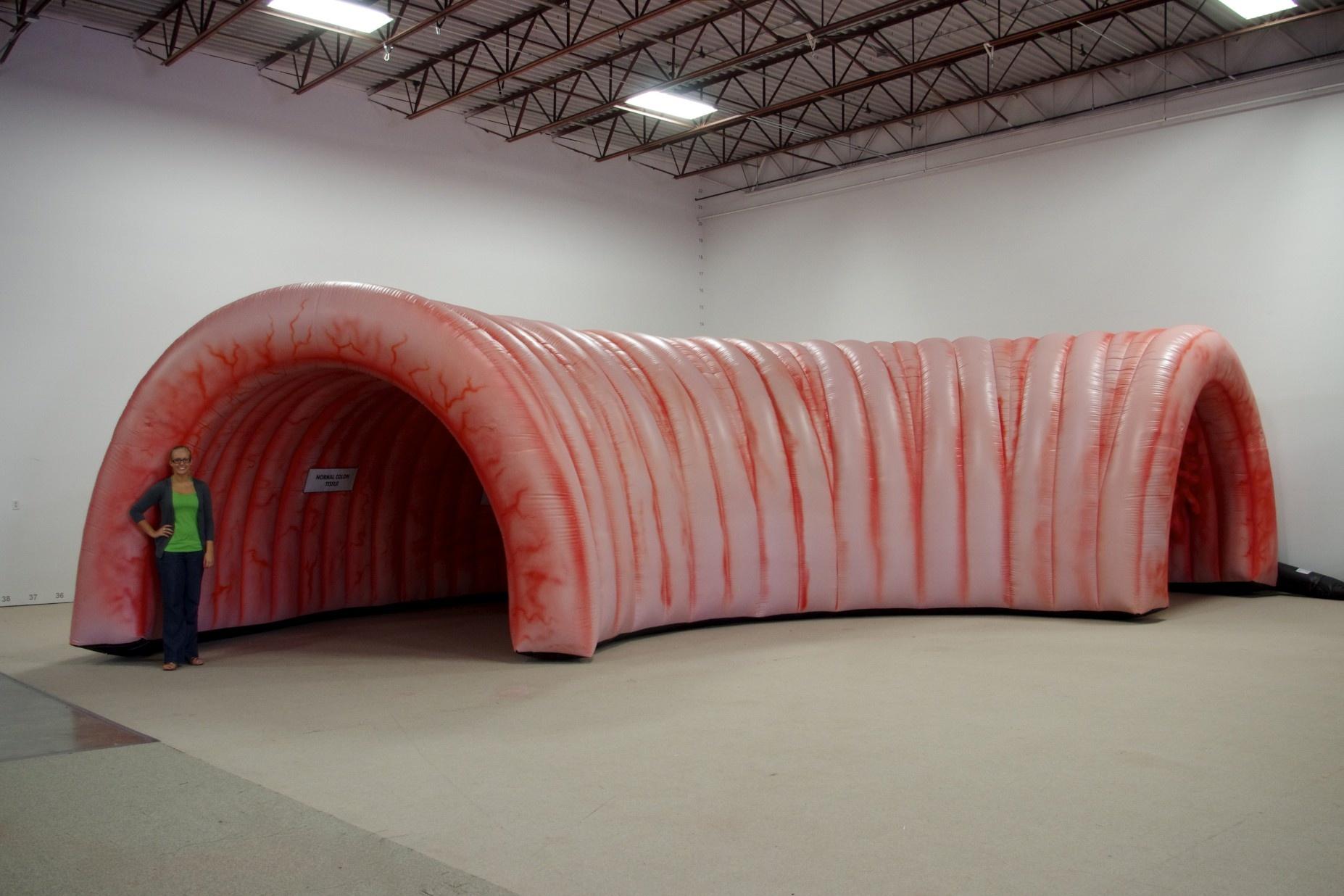 Center for Rural Health's Inflatable Colon